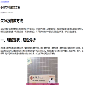 小贷欠20万自救方法-2025用卡逾期