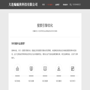 SEO - 专业SEO优化 - 网站SEO公司 - 蝙蝠侠SEO