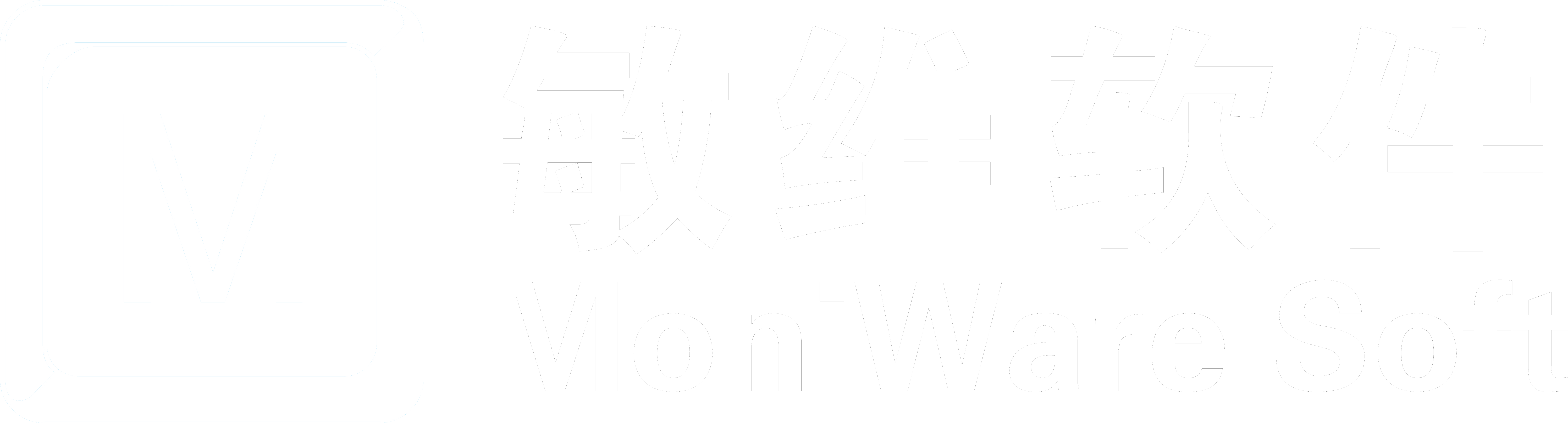 上海敏维软件技术有限公司