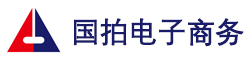 上海国拍电子商务有限公司